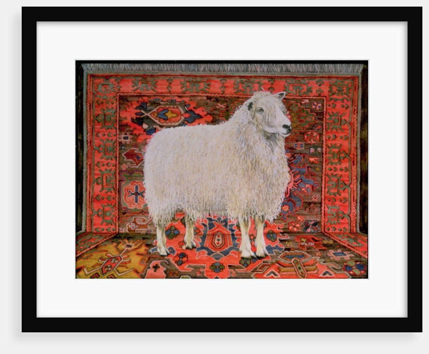 100% Wool by Ditz Ditz