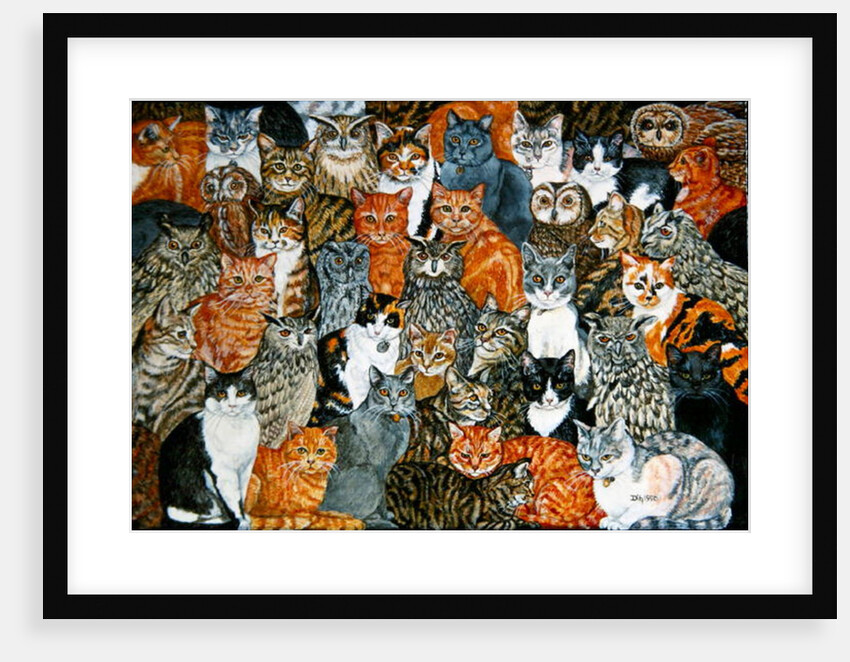 The Owls and the Pussycats by Ditz Ditz