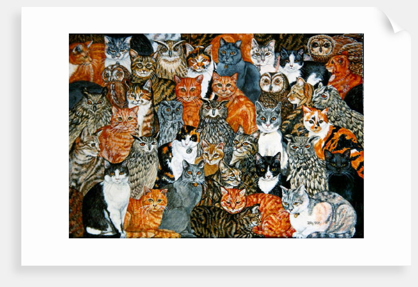 The Owls and the Pussycats by Ditz Ditz