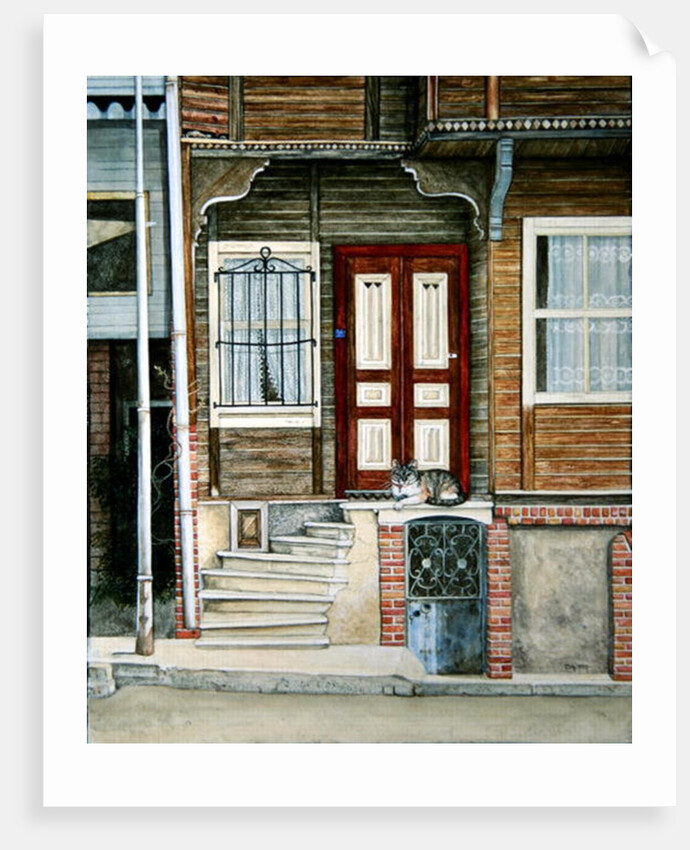 The Ottoman Cat by Ditz Ditz