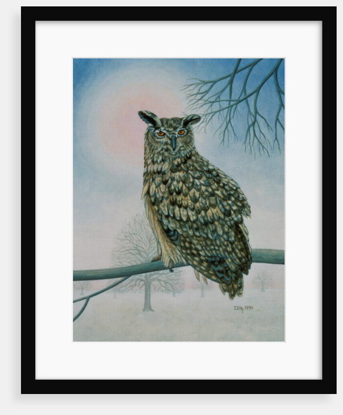 Winter-Owl by Ditz Ditz