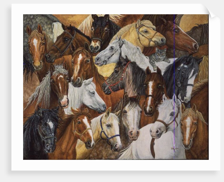 Dee's Horse-Blanket by Ditz Ditz