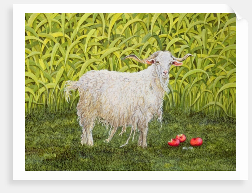Alan's Goat by Ditz Ditz