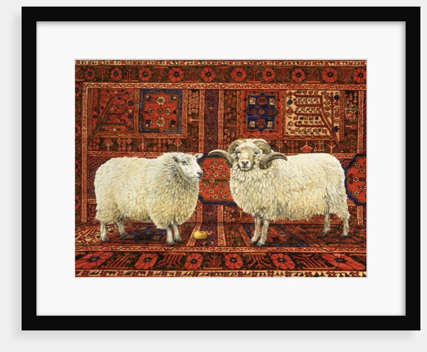 Persian Wool by Ditz Ditz