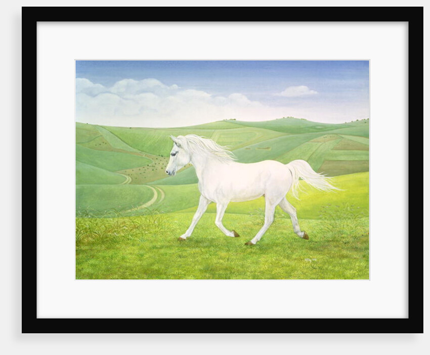 The Landscape Horse by Ditz Ditz