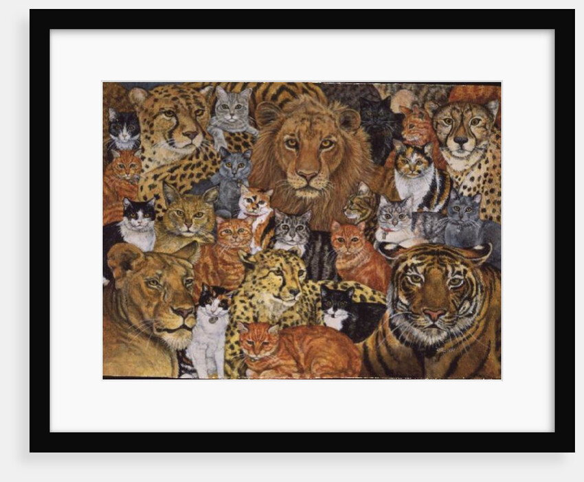 Semi Wild Cat Spread by Ditz Ditz