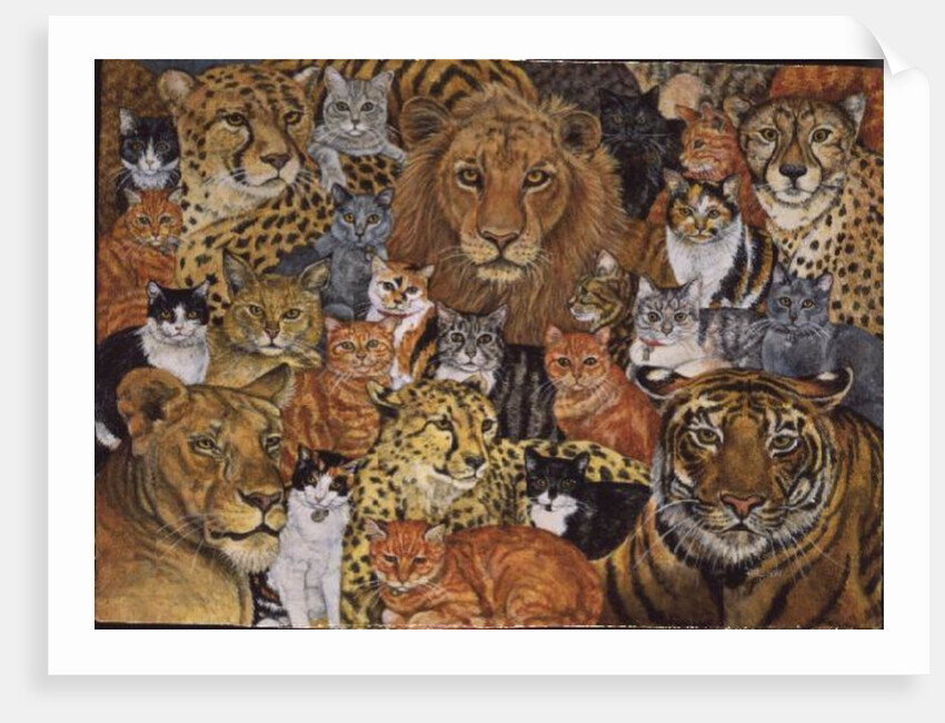 Semi Wild Cat Spread by Ditz Ditz