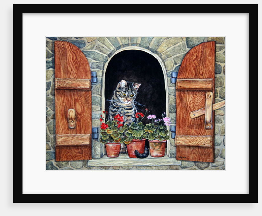 Susie's Window by Ditz Ditz