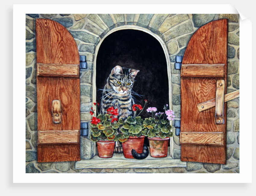 Susie's Window by Ditz Ditz