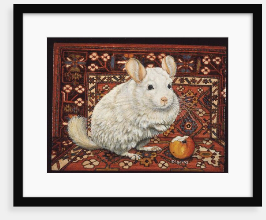 The Carpet-Chinchilla, 1992 by Ditz Ditz