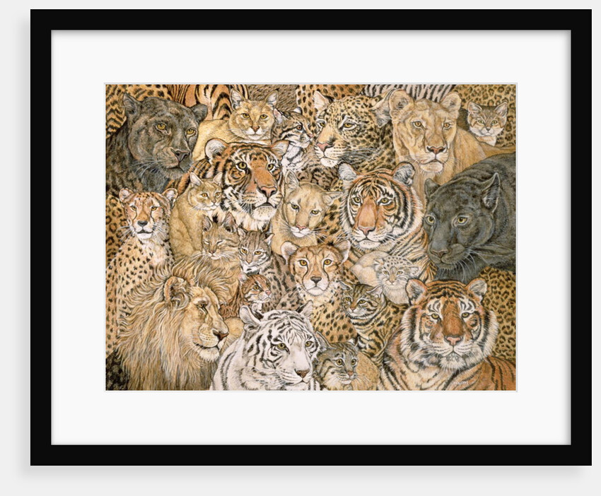 Wild Cat-Spread, 1992 by Ditz Ditz