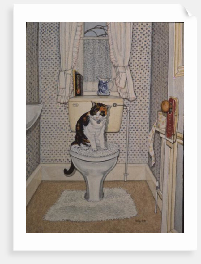 Cat on the Loo, 1991 by Ditz Ditz