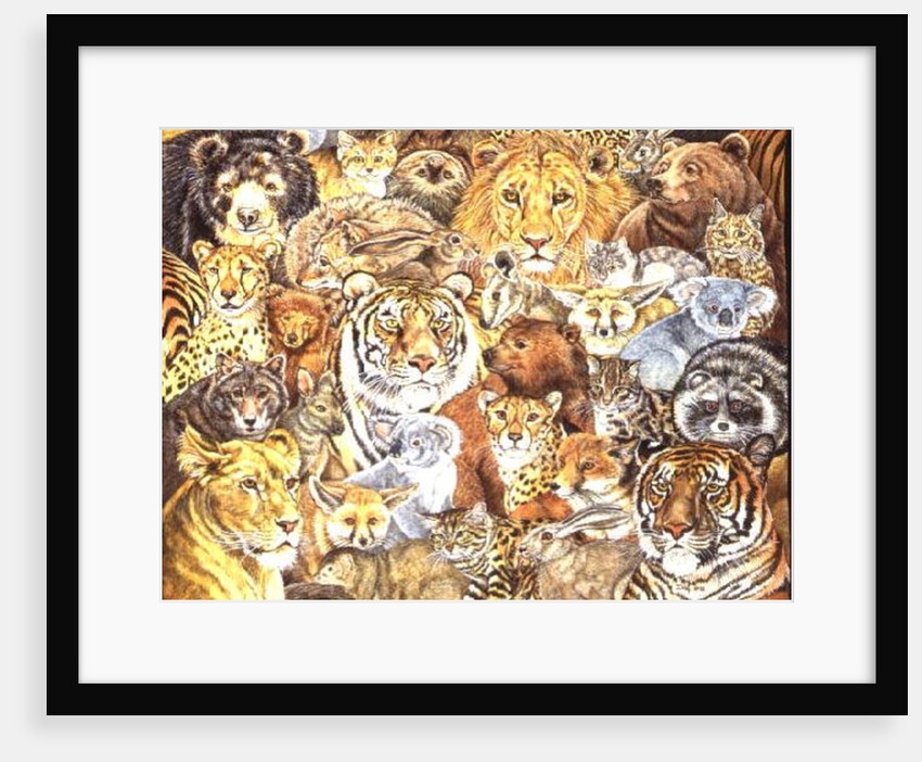 The Wild Bunch by Ditz Ditz