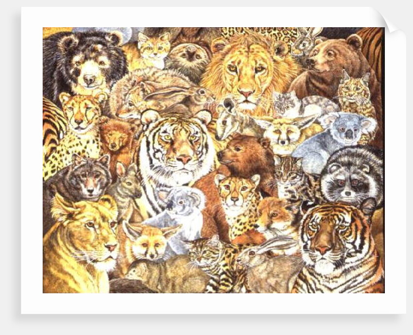 The Wild Bunch by Ditz Ditz