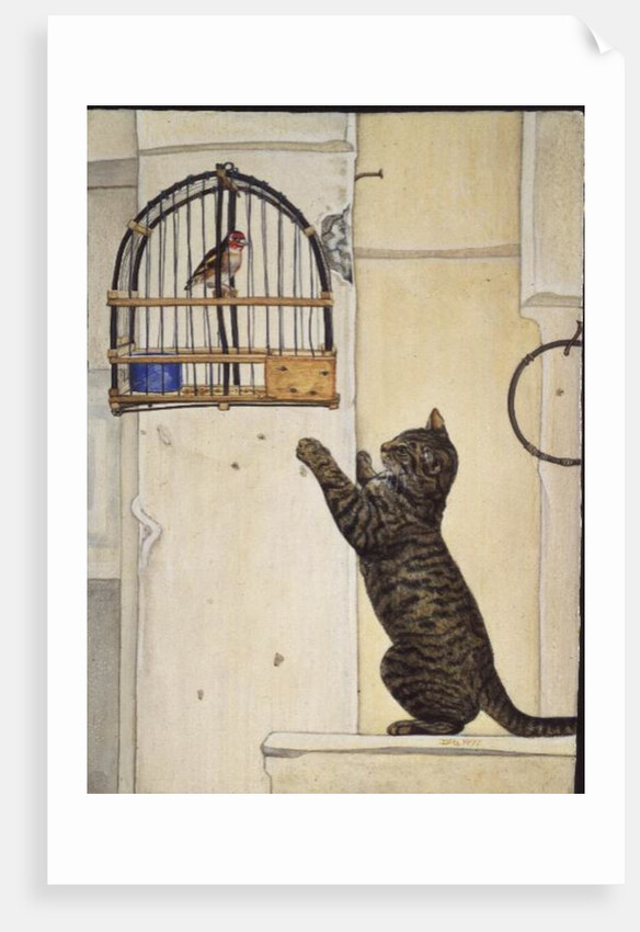 The Essuaira-Bird by Ditz Ditz