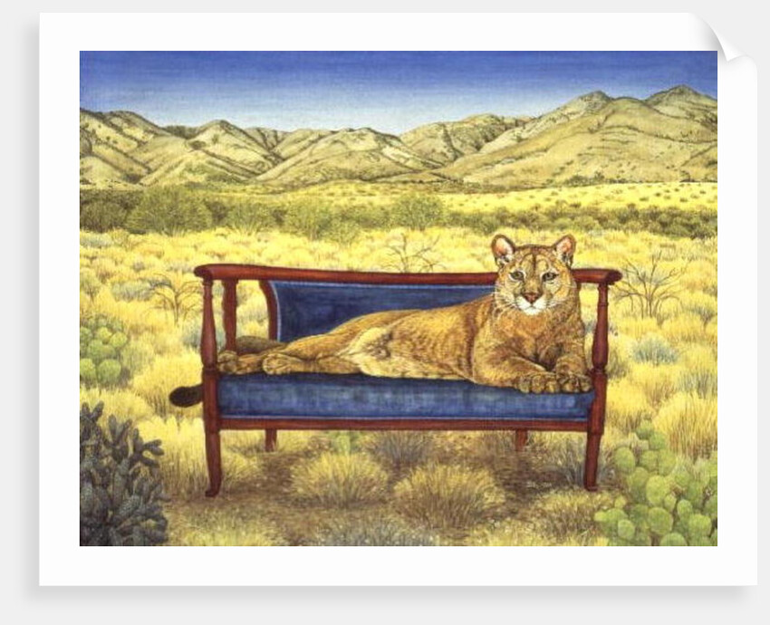 Millers' Mountain-Lion by Ditz Ditz