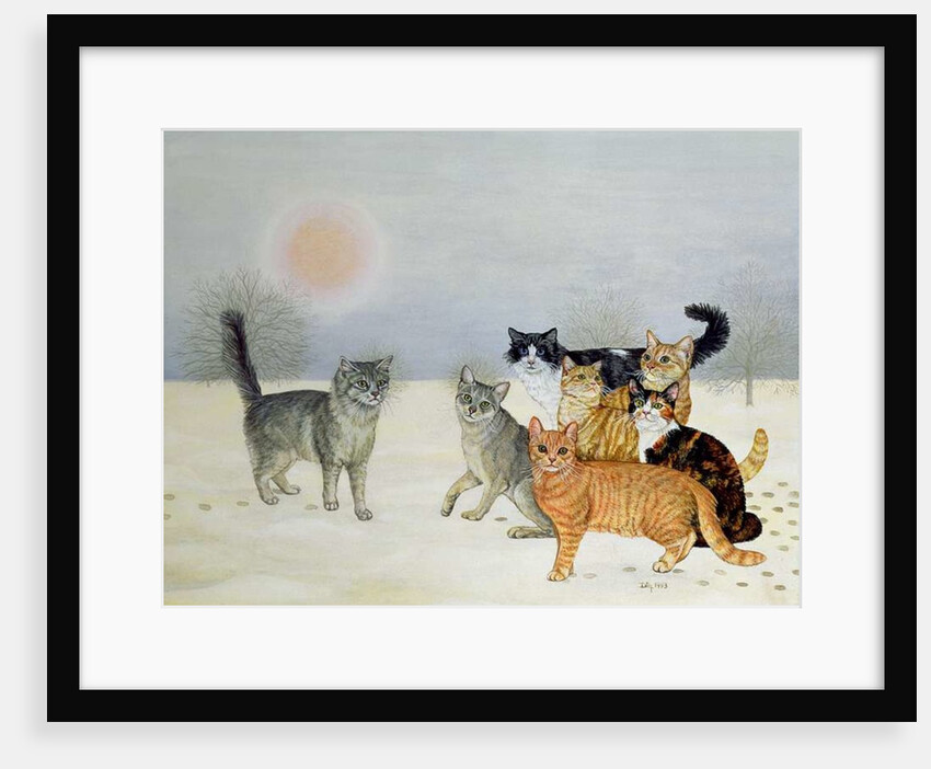 Winter-Cats by Ditz Ditz