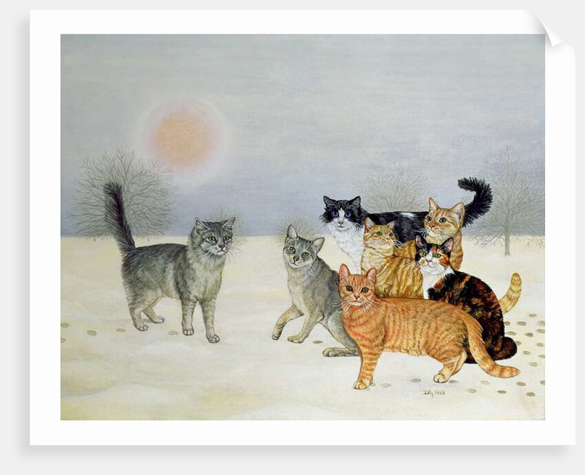 Winter-Cats by Ditz Ditz