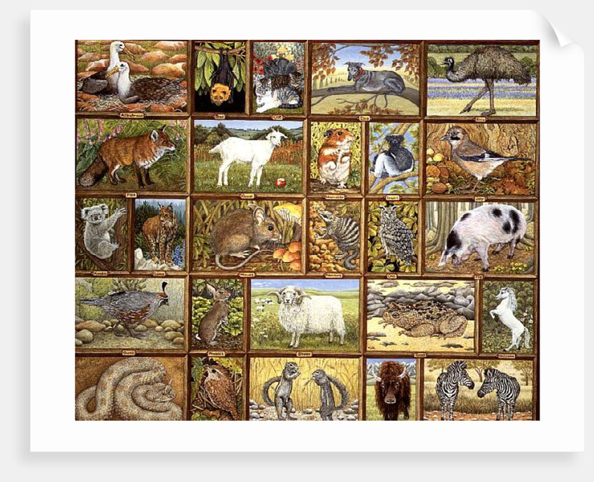 Alphabetical Animals by Ditz Ditz