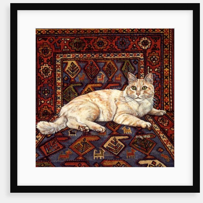 Shortcake, 1993 by Ditz Ditz