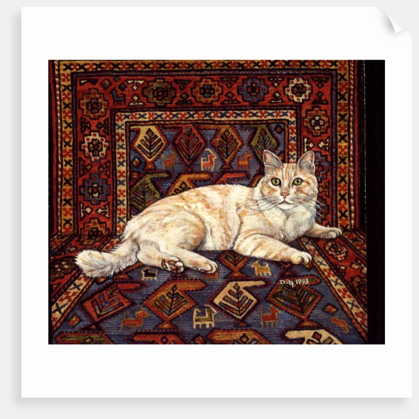 Shortcake, 1993 by Ditz Ditz