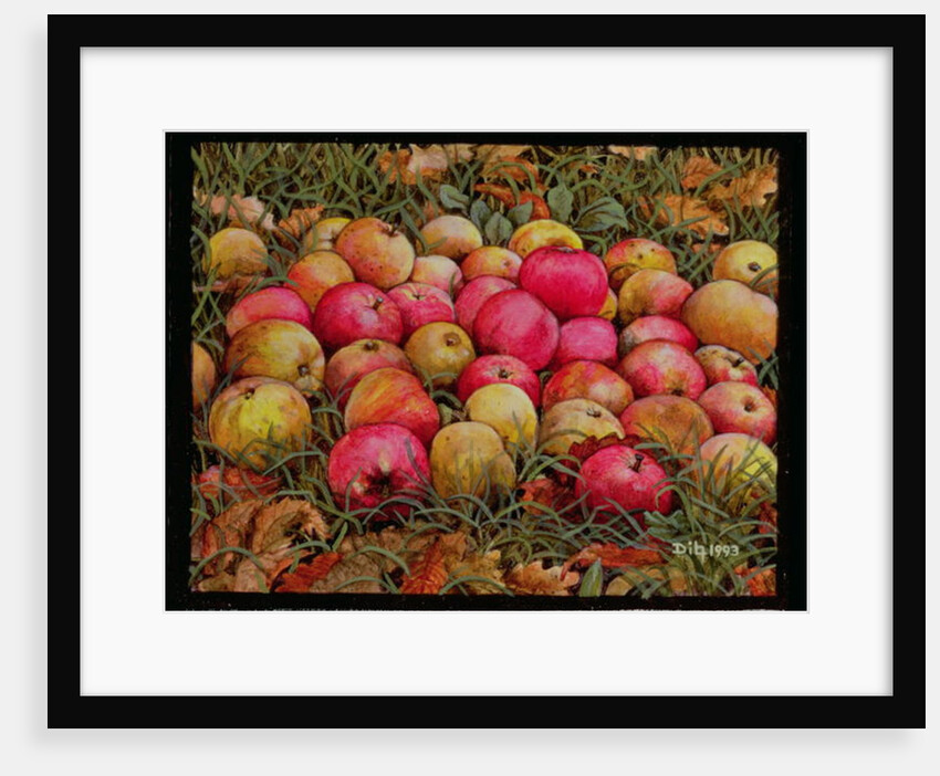 Durnitzhofer Apples, 1993 by Ditz Ditz