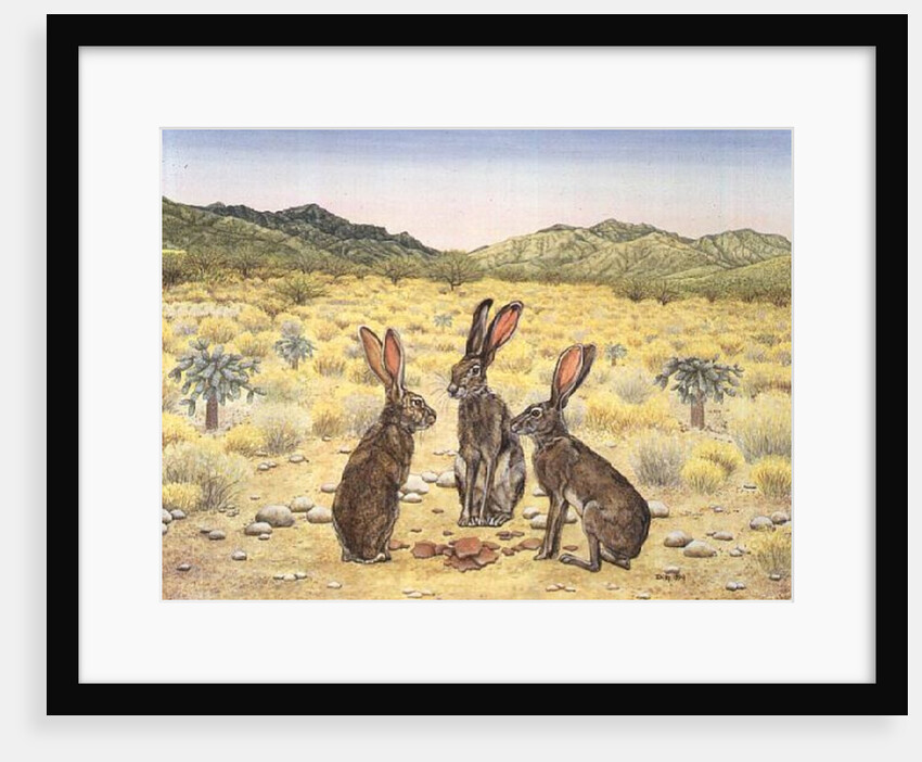 Elkhorn Conference, 1994 by Ditz Ditz