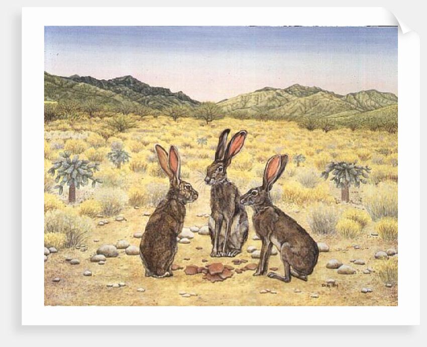 Elkhorn Conference, 1994 by Ditz Ditz