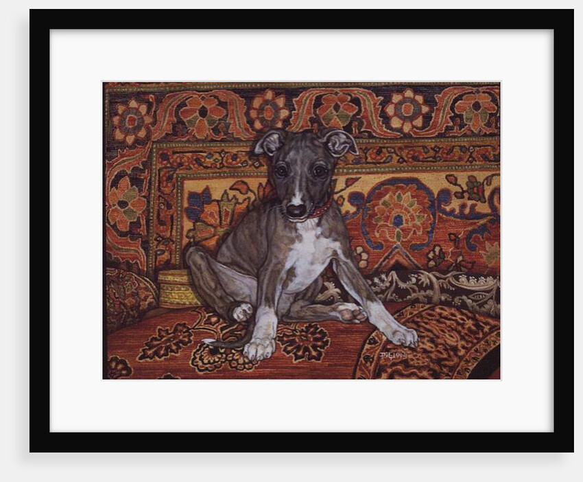 My Whippet Baby, 1994 by Ditz Ditz