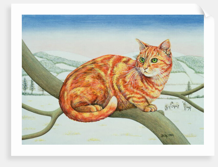 Bare Branches, No.1, 1994 by Ditz Ditz