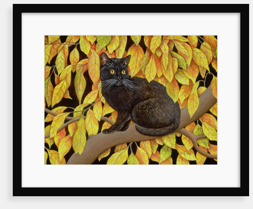 Autumn Leaves, 1994 by Ditz Ditz