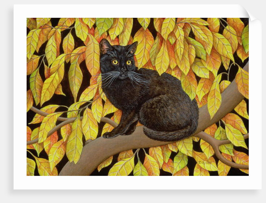 Autumn Leaves, 1994 by Ditz Ditz