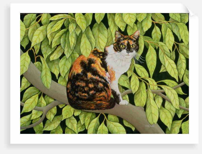 Leaves, 1994 by Ditz Ditz