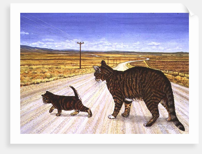 Saratoga Crossing, 1995 by Ditz Ditz
