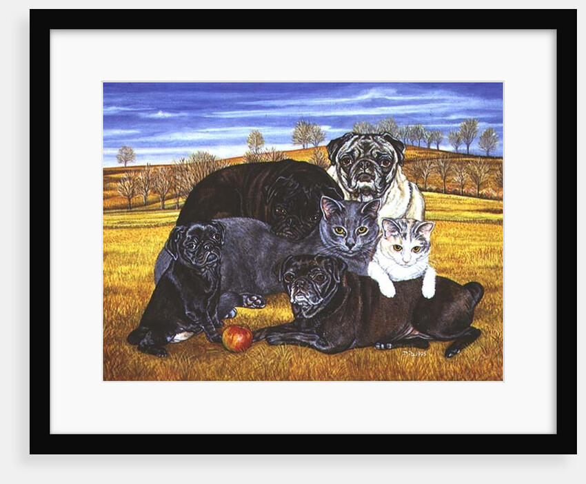 Hocking County Pug-Cats, 1995 by Ditz Ditz