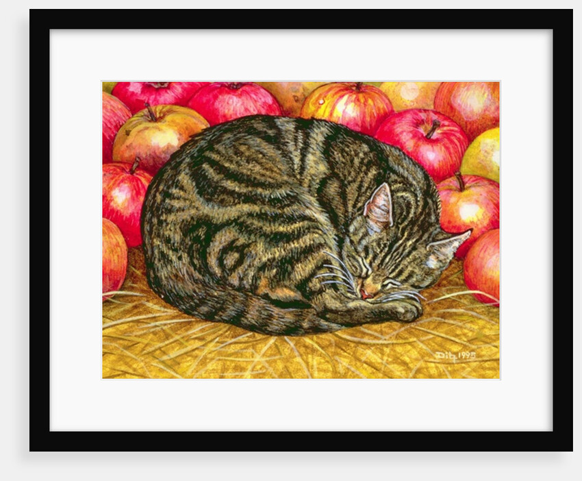 Left-Hand Apple-Cat, 1995 by Ditz Ditz