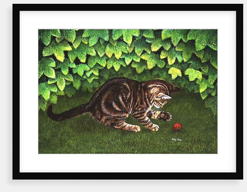 The Strawberry-Kitten, 1996 by Ditz Ditz