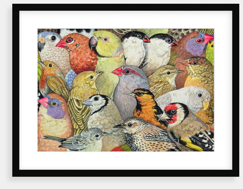 Patchwork-Birds, 1995 by Ditz Ditz