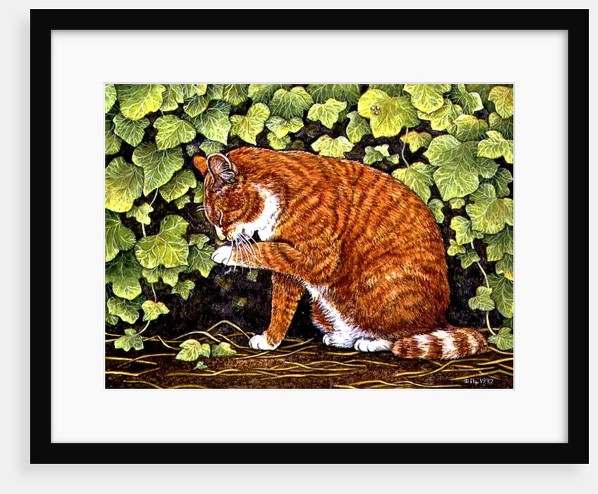 Wash-Day, 1996 by Ditz Ditz