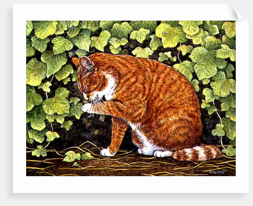 Wash-Day, 1996 by Ditz Ditz