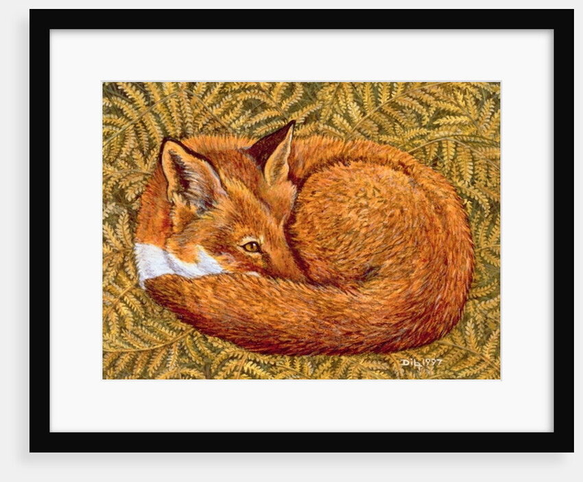 Cat-napping, 1997 by Ditz Ditz