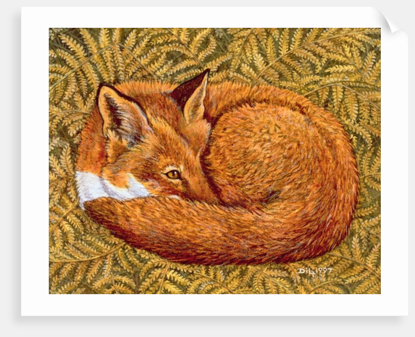 Cat-napping, 1997 by Ditz Ditz