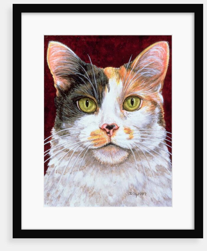 Marigold, 1997 by Ditz Ditz