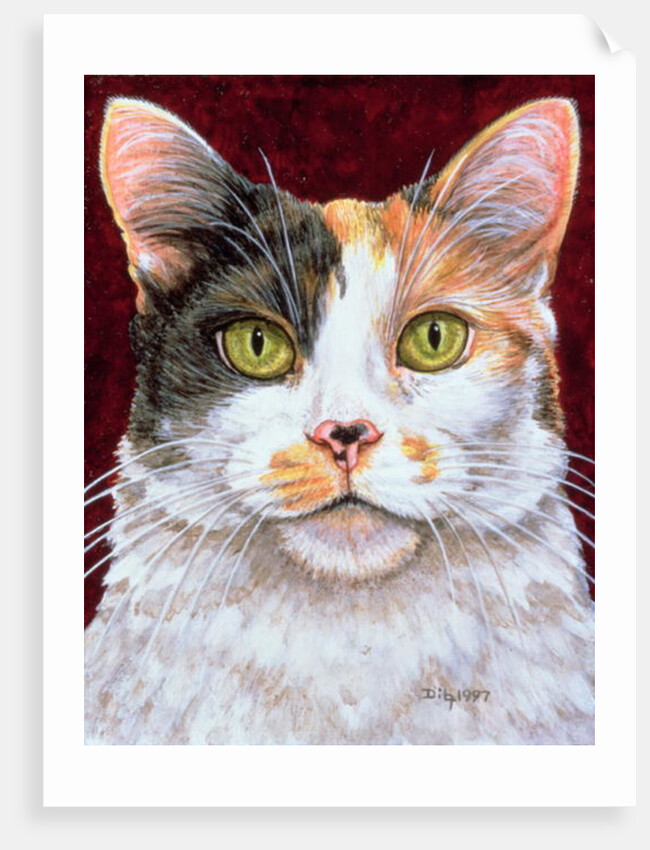 Marigold, 1997 by Ditz Ditz