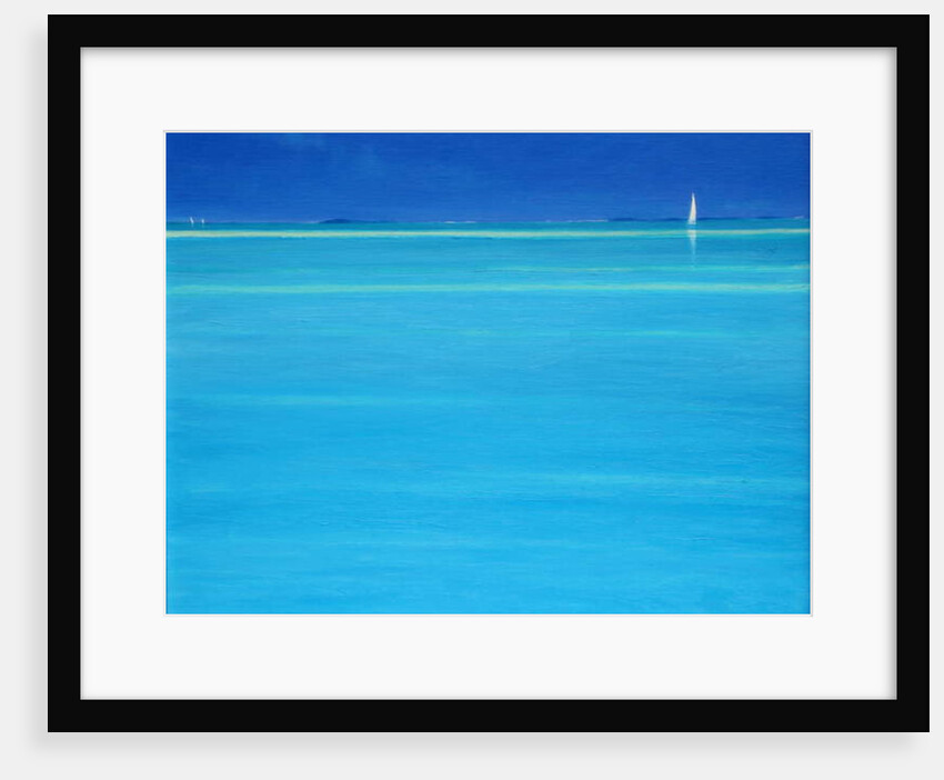 Off Whale Cay, Abaco by Derek Hare