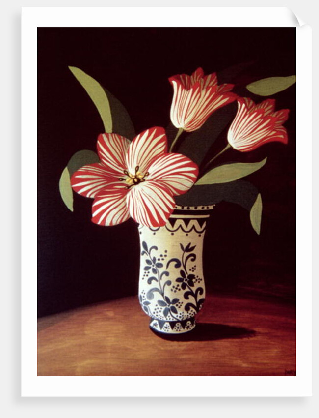 Striped Tulip by Dory Coffee