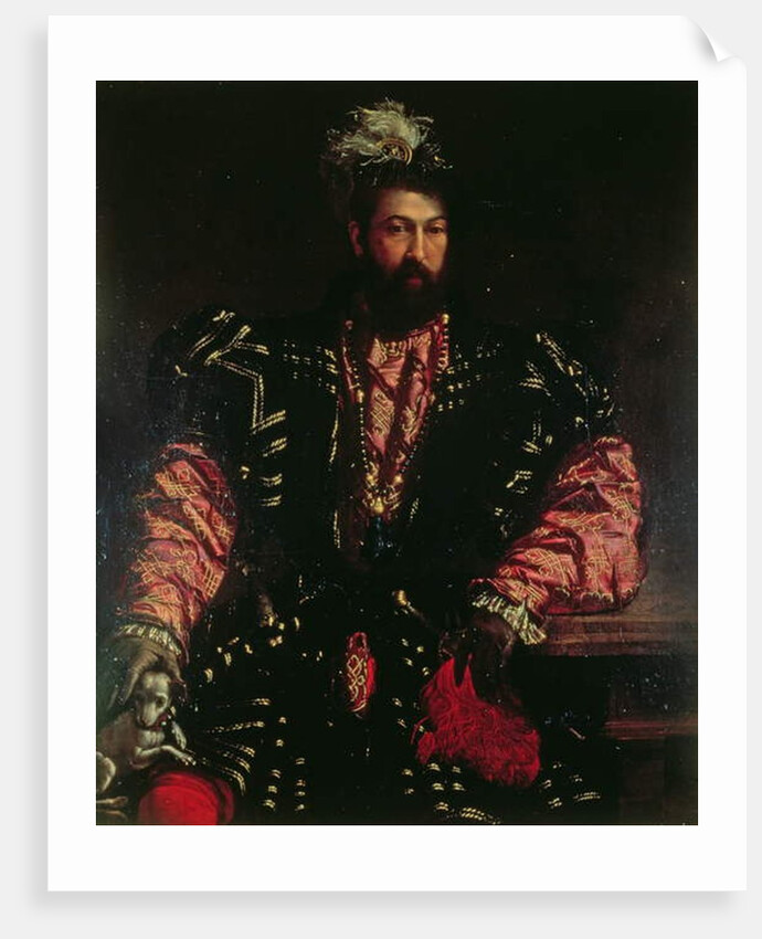 Portrait of an unknown man by Nicolo dell Abate