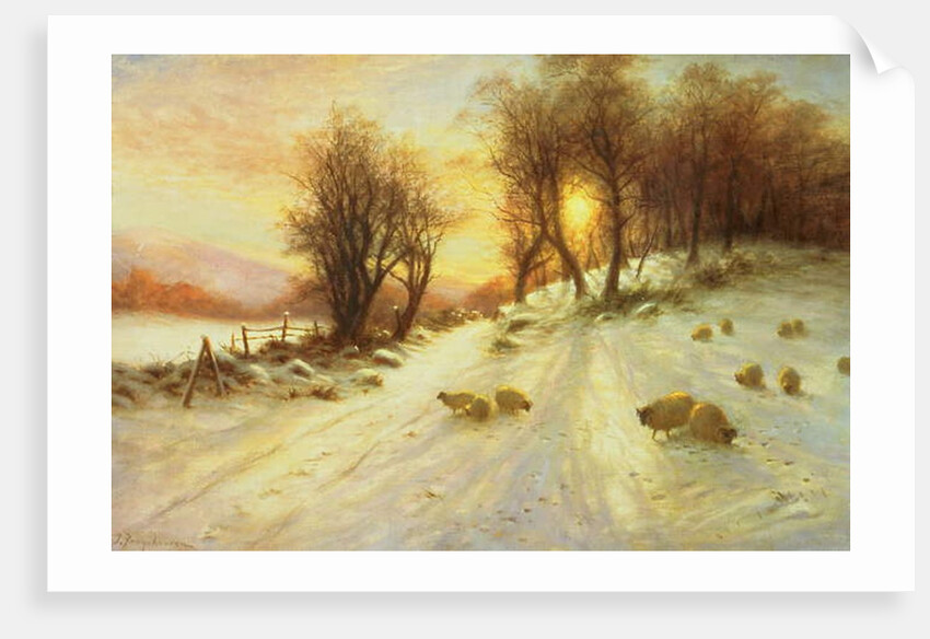 Sheep in Winter Snow by Joseph Farquharson
