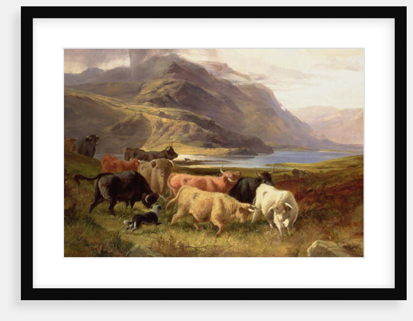 Highland Cattle with a Collie by Joseph & Adam Joseph Denovan (1846-96) Adam