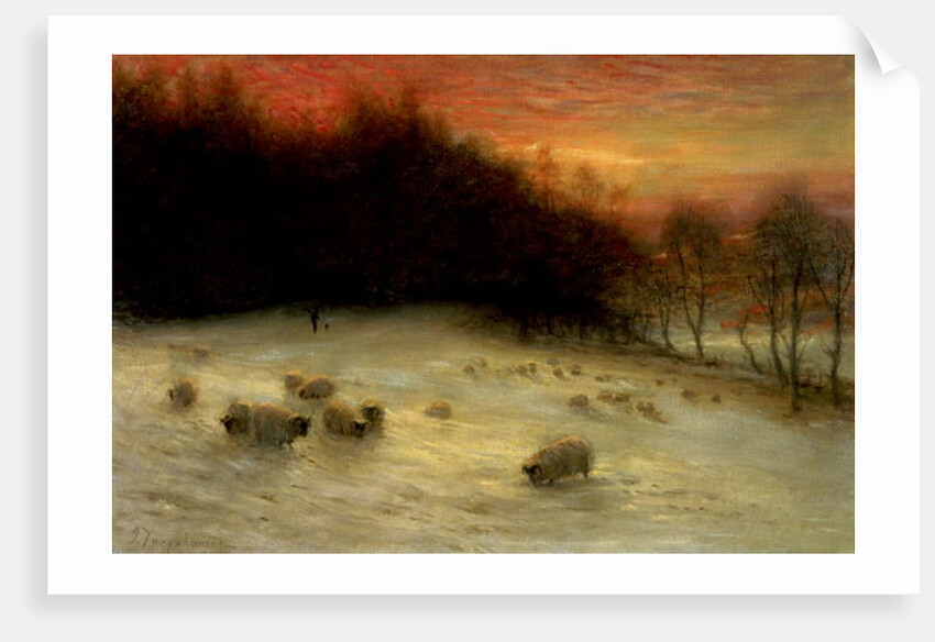 Sheep in a Winter Landscape, Evening by Joseph Farquharson